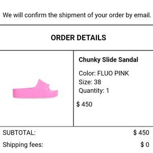 Brand New .. Balenciaga Pink platform slides